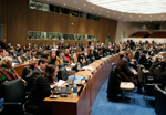 16 January 2006 - Conference Room 4, United Nations Headquarters, New York. Overview of the meeting of the General Assembly Ad Hoc Committee for a second reading of the Draft Convention on the Rights of Persons with Disabilities. (Photo Credit: UN Photo/Mark Garten )