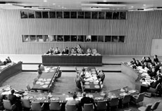 14 April 1952 - Commission on Human Rights, United Nations, New York.