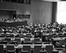 16 January 1980, Meeting of the Working Group on the New International Economic Order, United Nations Headquarters, New York: general view of the meeting.