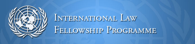 phd scholarship in international law
