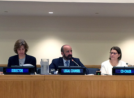 Mr. Serpa Soares, Under-Secretary-General for Legal Affairs and United Nations Legal Counsel, delivered opening remarks at the eighth meeting of the Ad Hoc Working Group of the Whole